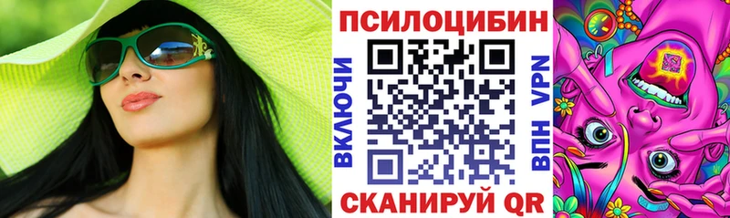 где купить наркоту  Кировград  Псилоцибиновые грибы MAGIC MUSHROOMS 