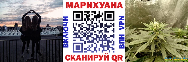 хочу наркоту  Кировград  Бошки марихуана VHQ 